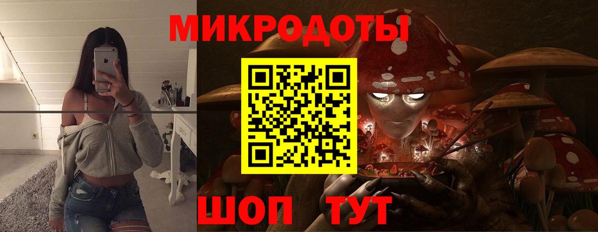 Новодвинск  Галлюциногенные грибы Psilocybine cubensis  Вход с VPN 